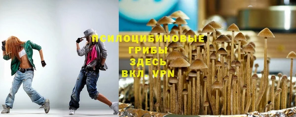 дживик Нягань